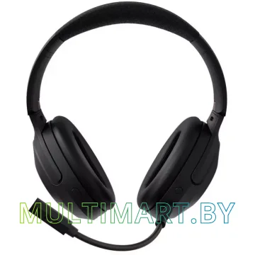 Наушники Creative Zen Hybrid Pro Classic картинка 2